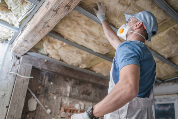 Best Commercial Insulation in Hanley Hills, MO