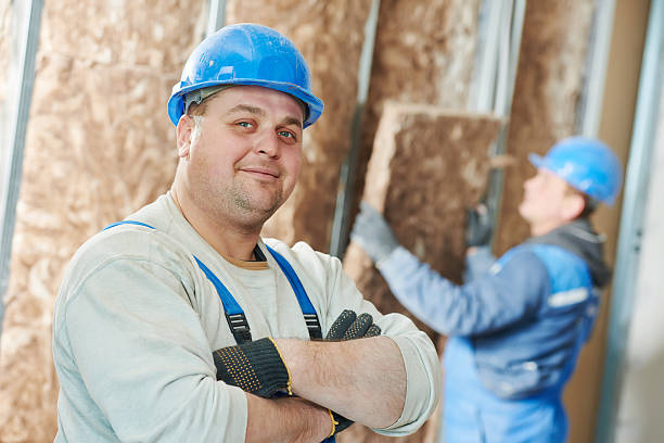 Best Insulation Maintenance and Repair in Hanley Hills, MO
